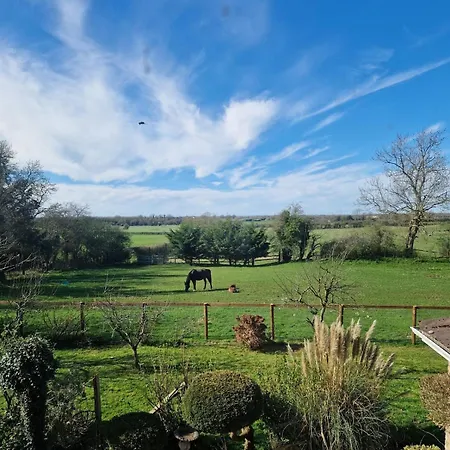 Deerpark Stables * Highstreet