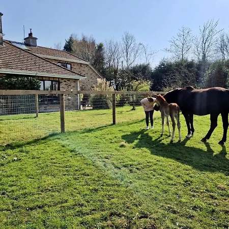 Deerpark Stables *