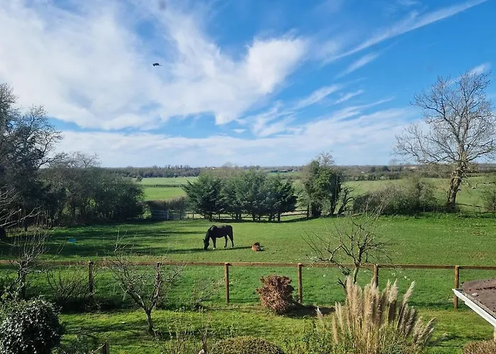 Deerpark Stables * Highstreet