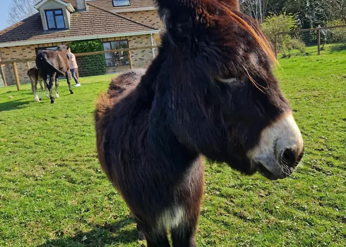 Deerpark Stables Apartamento Highstreet